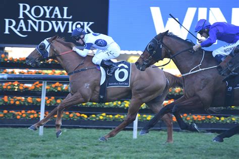 winx warwick stakes form